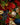 WINTERBERRY