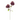 KA BOTANICA #2665