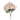 SS HYDRANGEA BLUSH X 5 18"