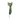 GE CACTUS