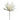 SS YUCCA STEM 41"