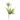 SS YUCCA X 2 35"