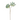 KA BOTANICA #2541