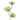 SS YUCCA X 3 BRANCH