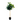 SS FIDDLE TREE 4.5'
