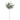 KA BOTANICA #2194
