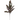 SL EUCALIPTO SPRAY 34"