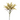 SS TROPICAL FLOWER