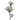 SS MAGNOLIA SPRAY X 3 37"