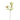KA BOTANICA #2702