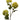 HORTENSIA VERDE X 3