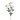 SL ROSA DE JARDIN X 3