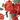KA BOTANICA #3404