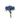 CENTAUREA AZUL