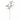 KA BOTANICA #3384
