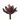 SL AGAVE CON FLOR 18"