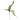 KA BOTANICA #3369