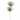 KA BOTANICA #3365