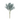 CB SEED BUSH 12"