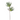 KA BOTANICA #3110