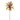 KA BOTANICA #2668