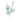 SS MAGNOLIA X 3 BRANCH 38"