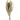 HB TROPICAL BLOOM STEM