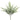 BUSH ESCARCHADO