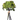 RI COTTAGE BERRY 11"