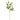 KA BOTANICA #2425