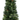 ARBOL CON PIÑAS Y LUZ