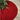 PIE DE ÁRBOL DE TERCIOPELO ROJO