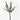 SA YUCCA PLANT
