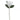 HB MAGNOLIA PERLADA/BRILLANTE