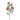 SL RANUNCULUS SPRAY