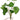 PLANTA PEQUEÑA CON RAIZ