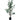 DF ARBOL EUCALIPTO 152CM