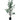 DF ARBOL EUCALIPTO 123CM