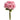 RZ RAMO DE ROSAS 17" REAL TOUCH