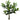 MX ARBOL DE GARDENIA 70 CM