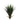 GE CACTUS 36´´