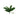FP HOJA ORQUIDEA CH