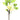 MAGNOLIA GRANDE