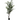 DF ARBOL EUCALIPTO 213CM