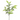 SL MOUNTAIN FERN SPRAY 45"