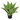 SL ALOE PLANT/POT 21"