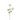 SL FLOR ANEMONIA X 3 20"