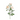 SL ROSA DE JARDIN X 3