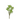 SL PLANTA DE HIELO SPRAY 18"