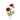 SL RANUNCULUS X 2 CON BROTE, 25"